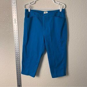 Vibrant Blue Cropped Pants